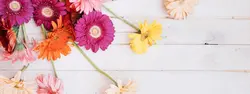 Kitchen wallpaper gerbera photo