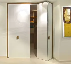 Фото двери гармошка в гардеробную