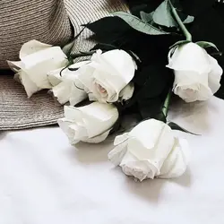 Белые Розы В Ванной Фото