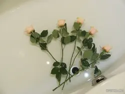 Белыя ружы ў ваннай фота
