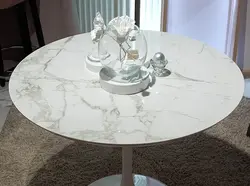 Porcelain Stoneware Table For The Kitchen Photo