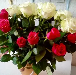 Roses On The Kitchen Table Photo