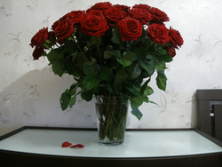 Розы на столе на кухне фото