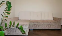 Қонақ бөлмесінің интерьеріндегі диванның фотосуреті