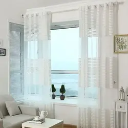 Blinds and tulle on one window photo for the kitchen