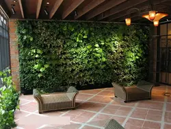 Phytowall in the living room interior