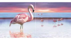 Фламинго дар дохили ҳаммом