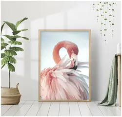 Фламинго дар дохили ҳаммом