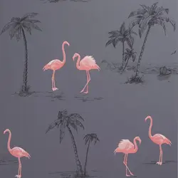 Фламинго Дар Дохили Ҳаммом
