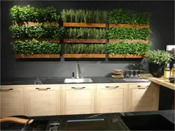Greenery In The Kitchen Interior