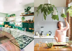 Greenery in the kitchen interior