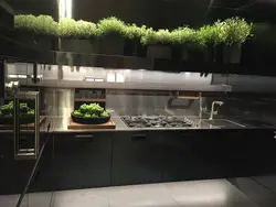 Greenery in the kitchen interior