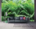 Fern in the living room interior