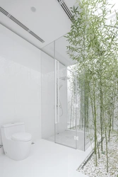 Бамбук в интерьере ванной