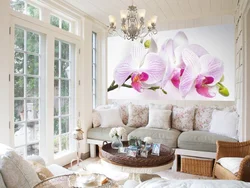 Қонақ бөлмесінің интерьеріндегі орхидеялар