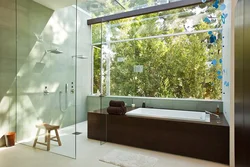 Transparent bathtubs in the interior