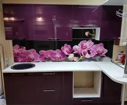 Kitchen Interior With Orchid