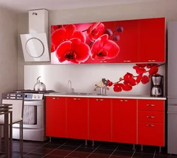 Kitchen interior with orchid