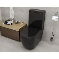 Floor-standing toilet in the bathroom interior
