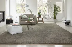 Gray Carpet In The Bedroom Interior