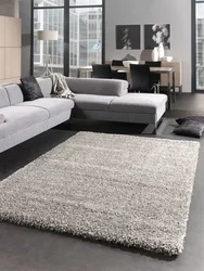 Gray carpet in the bedroom interior