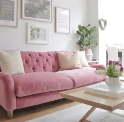 Pink sofa in the kitchen interior