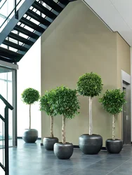Artificial trees in the living room interior