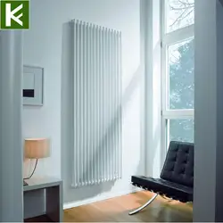 Vertical radiator in the living room interior