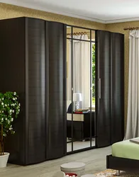 Wenge wardrobe in the bedroom interior