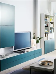Blue cabinets in the living room interior