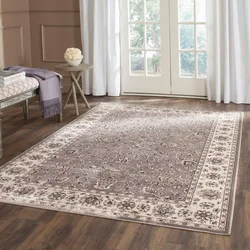 Beige Carpet In The Living Room Interior