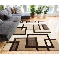 Beige carpet in the living room interior
