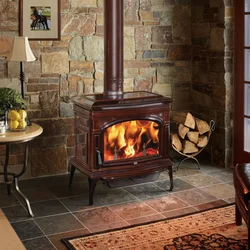 Cast iron stoves in the living room interior