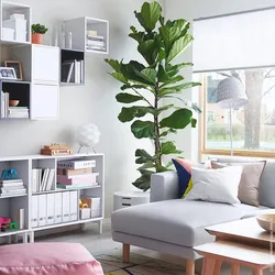 White bookcase in the living room interior