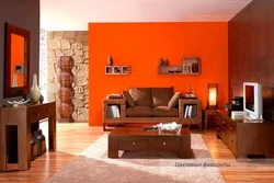 Terracotta and gray in the living room interior