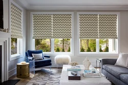 Curtains with blinds in the living room interior