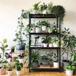 Flower Rack In The Living Room Interior