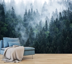 Yataq otağının interyerindəki dumanda meşə divar kağızı