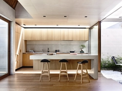 House kitchen design