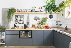 Зелень на кухне дизайн