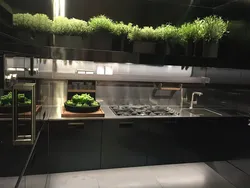 Greenery In The Kitchen Design