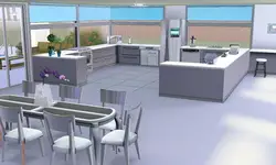 Sims 3 dizayndagi oshxona