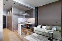 Apartment design 39 m with kitchen