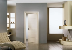 Doors in a two-room apartment photo