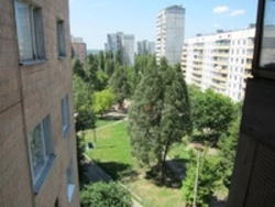 Фото улицы с окна квартиры