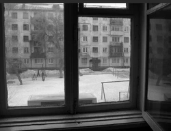 Фото из окна городской квартиры