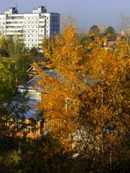 Photo from an apartment window in autumn