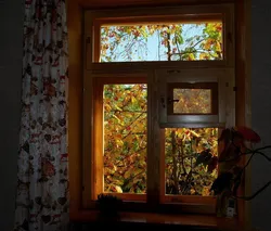 Фото из окна квартиры осенью
