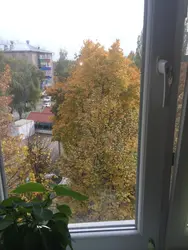 Фото из окна квартиры осенью