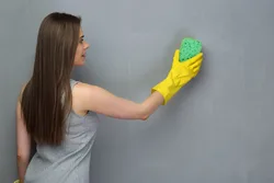 Washable paint for walls in apartment photo